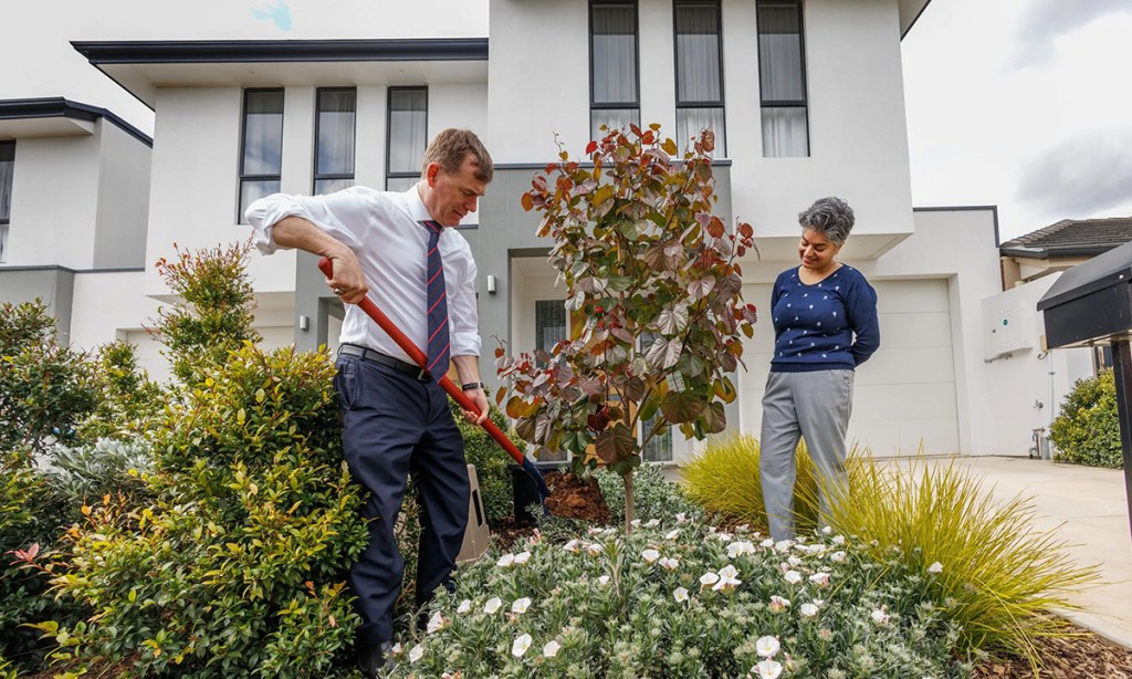 Planning and Urban Development Minister Nick Champion (left) planting a tree at a Campbelltown home. Photo: Tony Lewis/InDaily