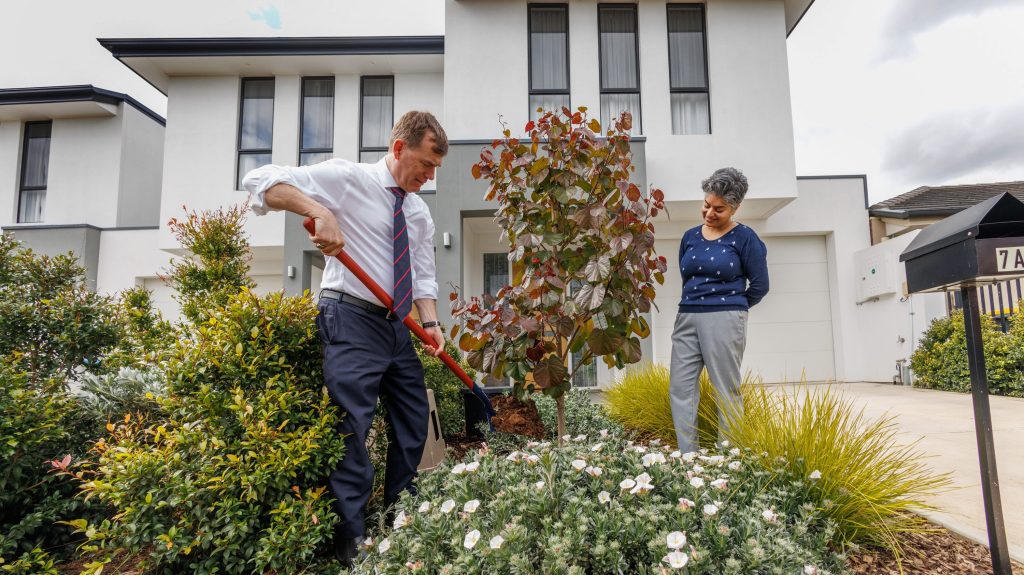 Thumbnail for ‘Environmental challenge’: Govt concern over trees axed for housing