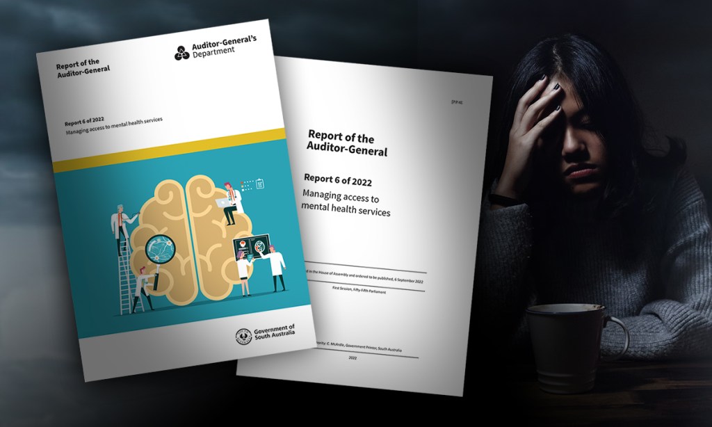 Thumbnail for ‘Needs to improve’: SA mental health gaps exposed