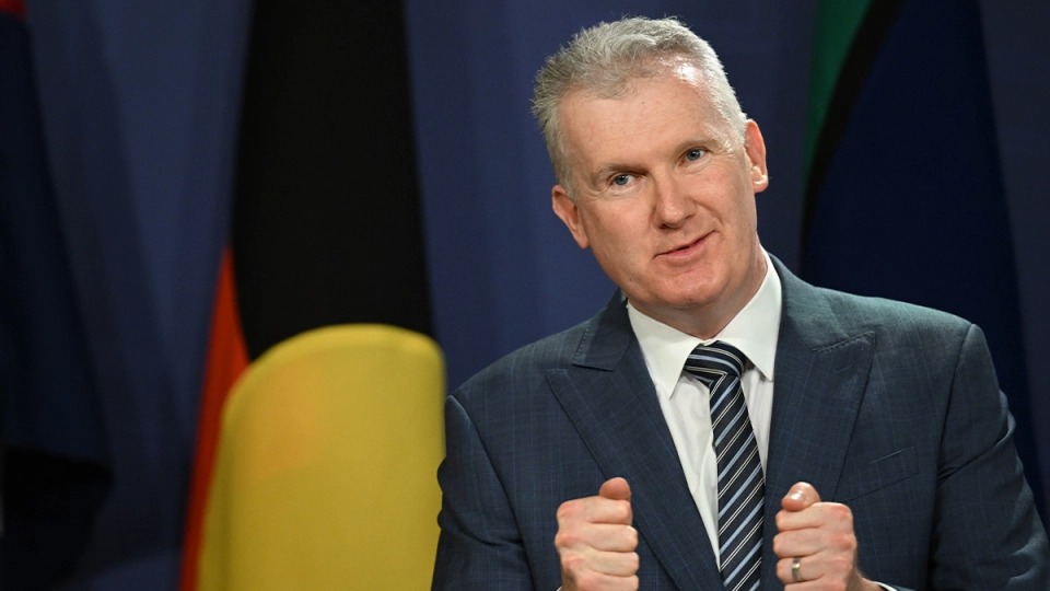 Thumbnail for Govt amends controversial IR reform