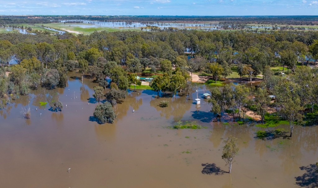 Thumbnail for Riverland levee checks after River Murray flow update