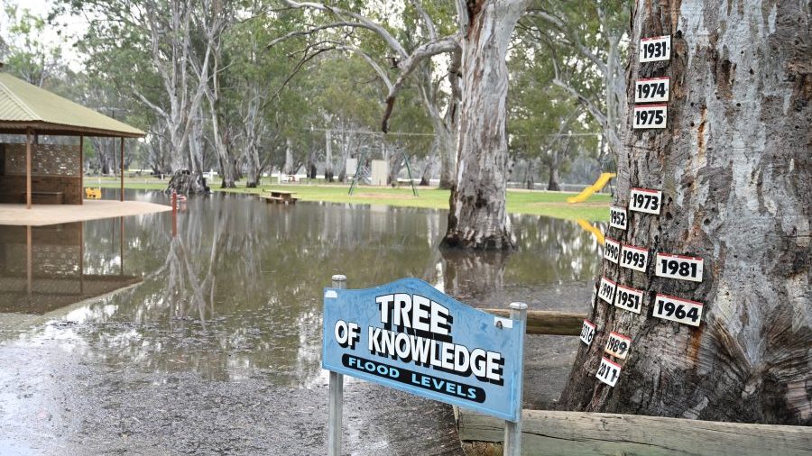 Thumbnail for Concerns rising Murray will cut Riverland emergency route
