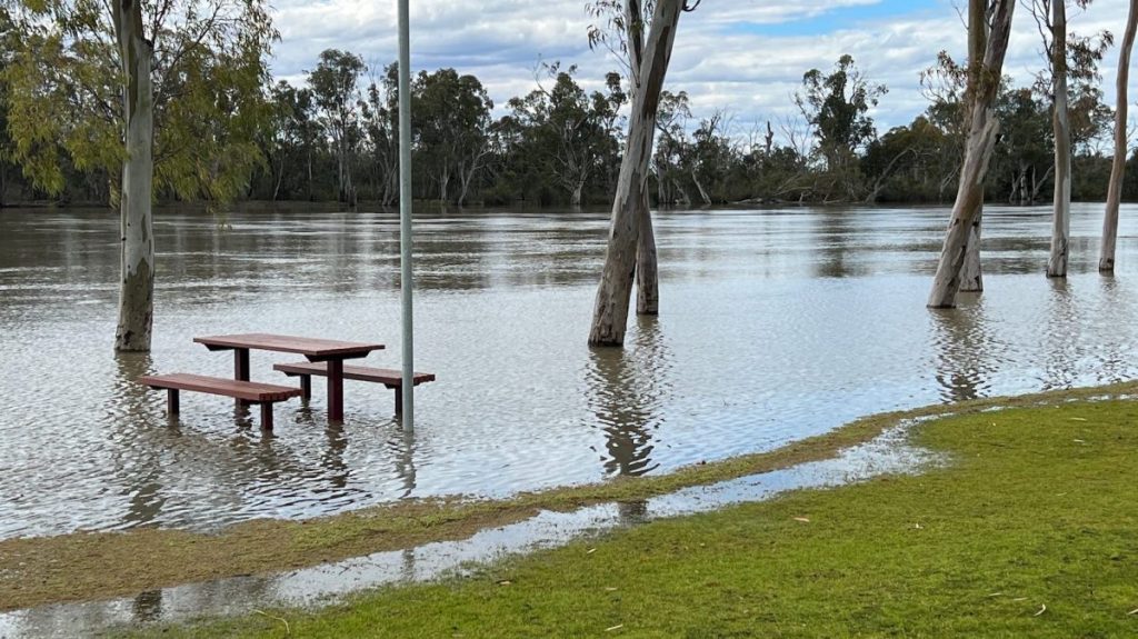 Thumbnail for Warning to upstream states as River Murray rises