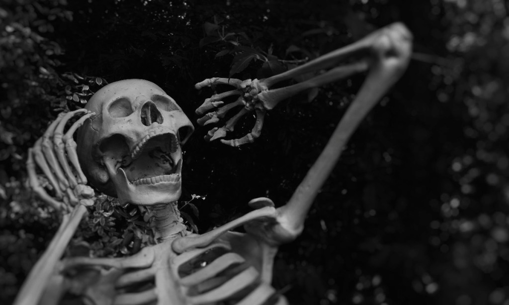 Thumbnail for Measuring the “Halloween effect”