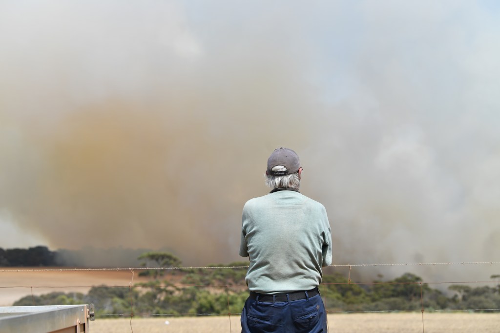 Thumbnail for Black Summer bushfires leave lasting mental health impact