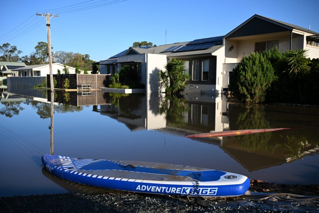 Thumbnail for Fish suffocate in polluted water as flooding continues