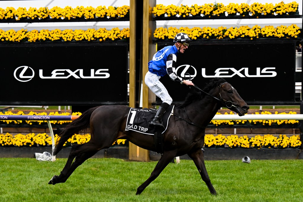 Thumbnail for Gold standard for Melbourne Cup winner