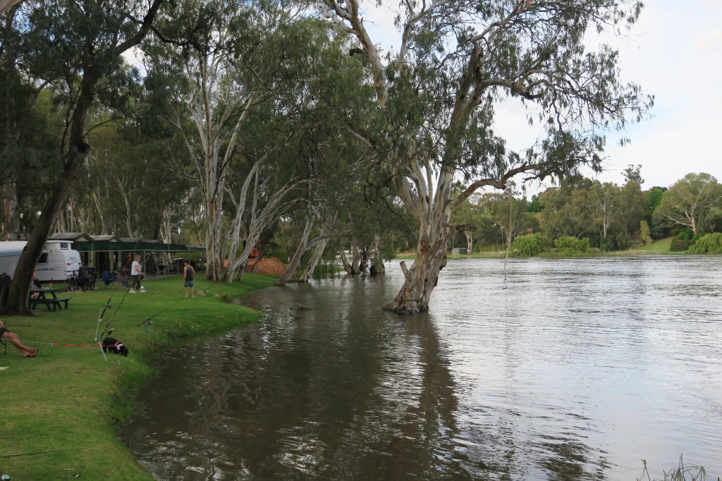Thumbnail for Your views: On park lands heritage listing, emergencies and mine rehabilitation