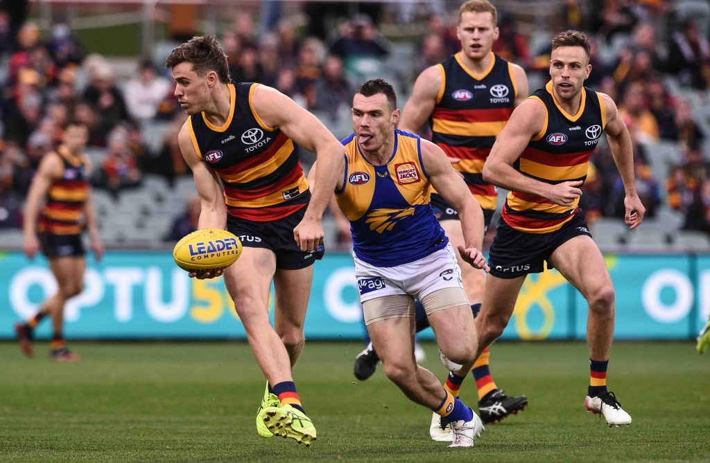 Thumbnail for Crows delist Seedsman – but promise lifeline