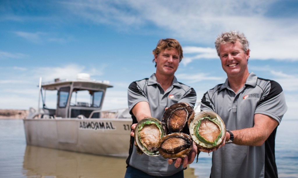 Thumbnail for SA’s best food and beverage awarded