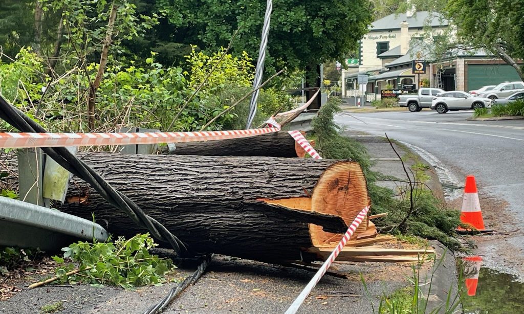 Thumbnail for Blackouts continue in Adelaide Hills after storm’s ‘significant damage’