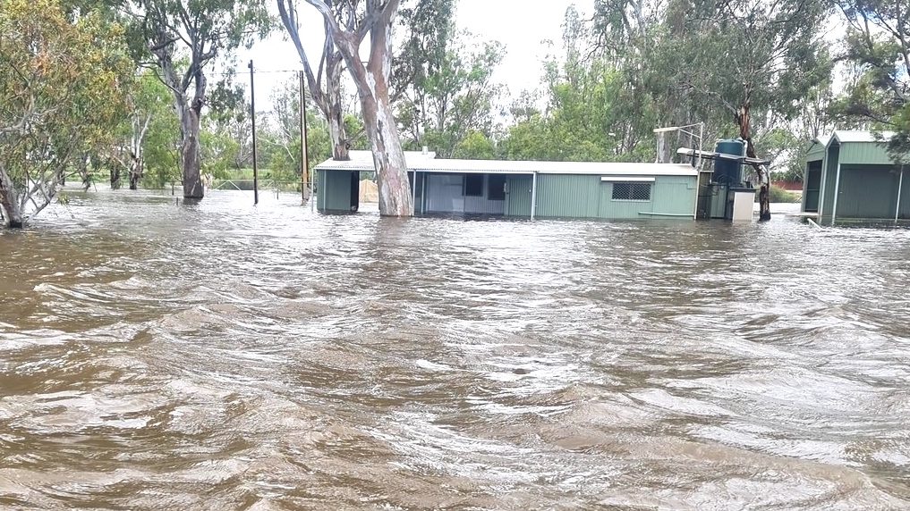 Thumbnail for First River Murray relief centre to open with flooding set to inundate homes