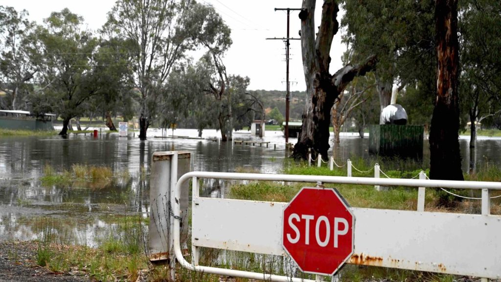 Thumbnail for Power cuts begin as River Murray continues to rise