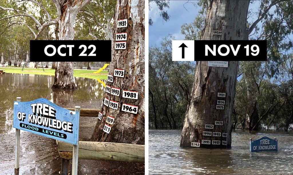 Thumbnail for River Murray community concerns rise along with water