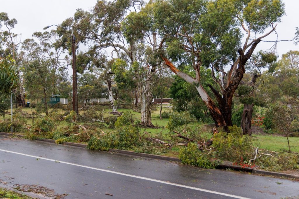 Thumbnail for Schools still closed as power outages persist