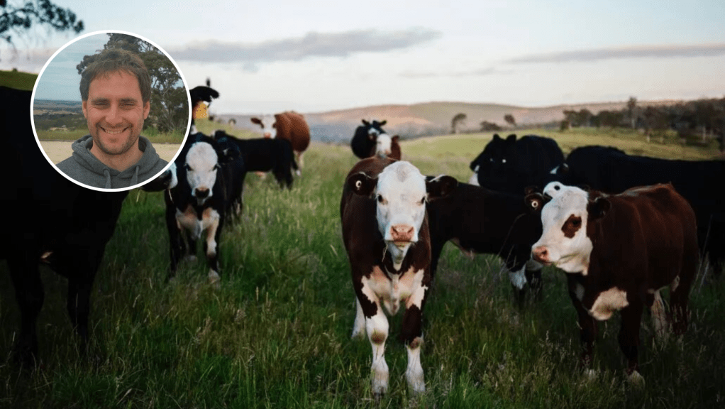 Thumbnail for Direct meat buying system aims to be a cut above the rest