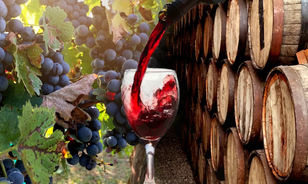 Thumbnail for Grapes of wrath: Red wine glut leaves crops to wither on the vine