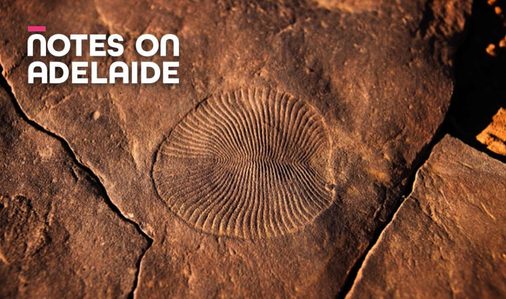 Thumbnail for Notes on Adelaide podcast: The Cradle of Life