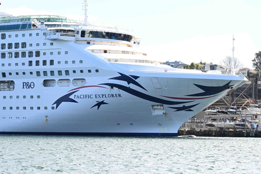 Thumbnail for Woman dies after falling from cruise ship off Cape Jaffa