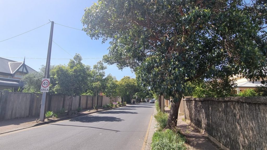 Thumbnail for Parliamentary inquiry into Adelaide’s dwindling urban tree canopy