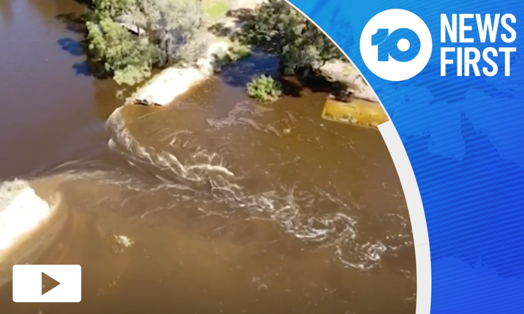 Thumbnail for VIDEO: Power cut in Riverland after Renmark levee bursts