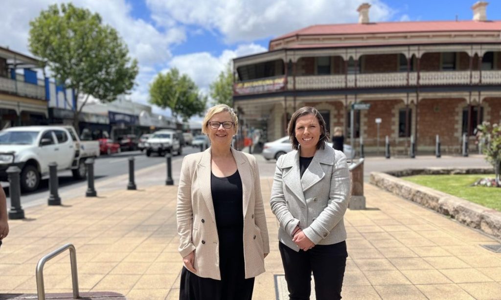 Minister for Primary Industries and Regional Development Clare Scriven (left) with the state's first Cross Border Commissioner, Liz McKinnon. Photo: supplied