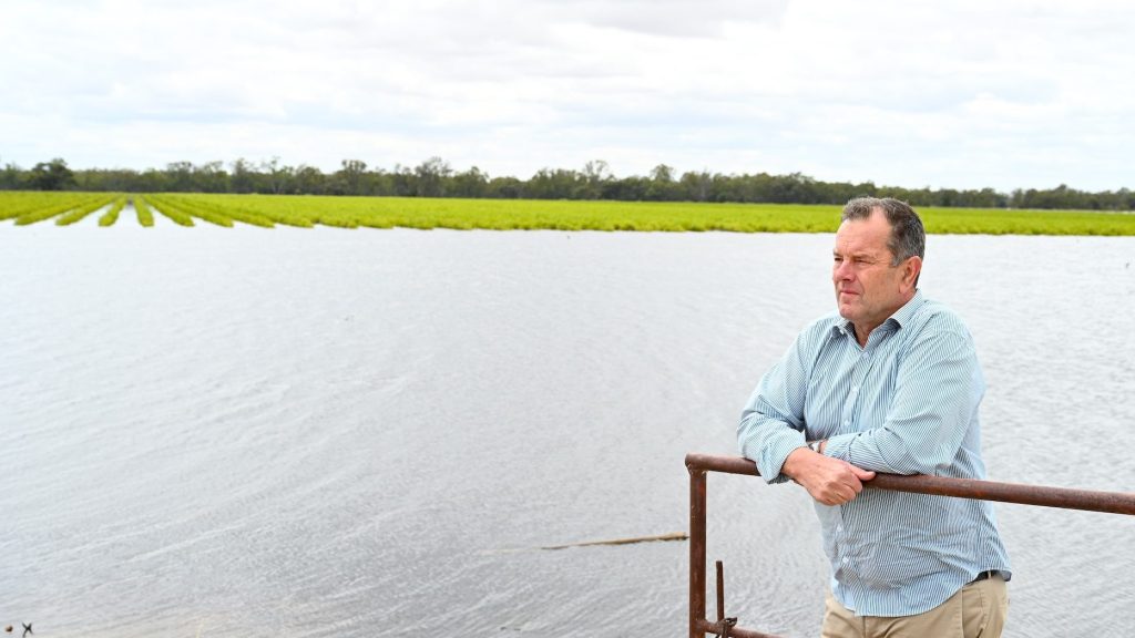 Thumbnail for Drought and flooding pains: Riverland vineyards call for help