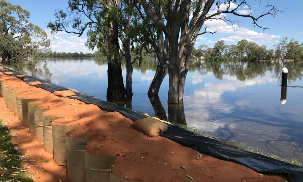 A DefenCell emergency levee at Berri. Photo: Suzie Keen/InDaily