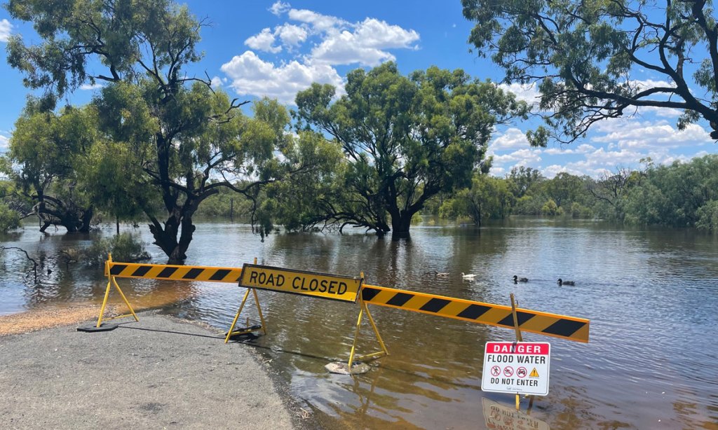Thumbnail for River Murray SA flood impact under microscope
