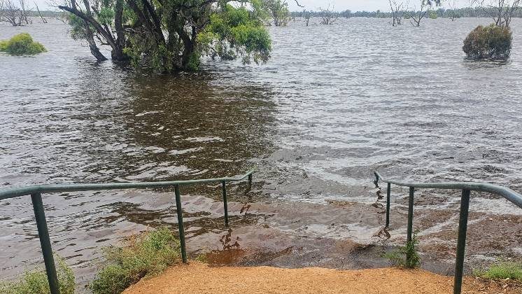 Thumbnail for Jump in River Murray levee failures ahead of flood peak