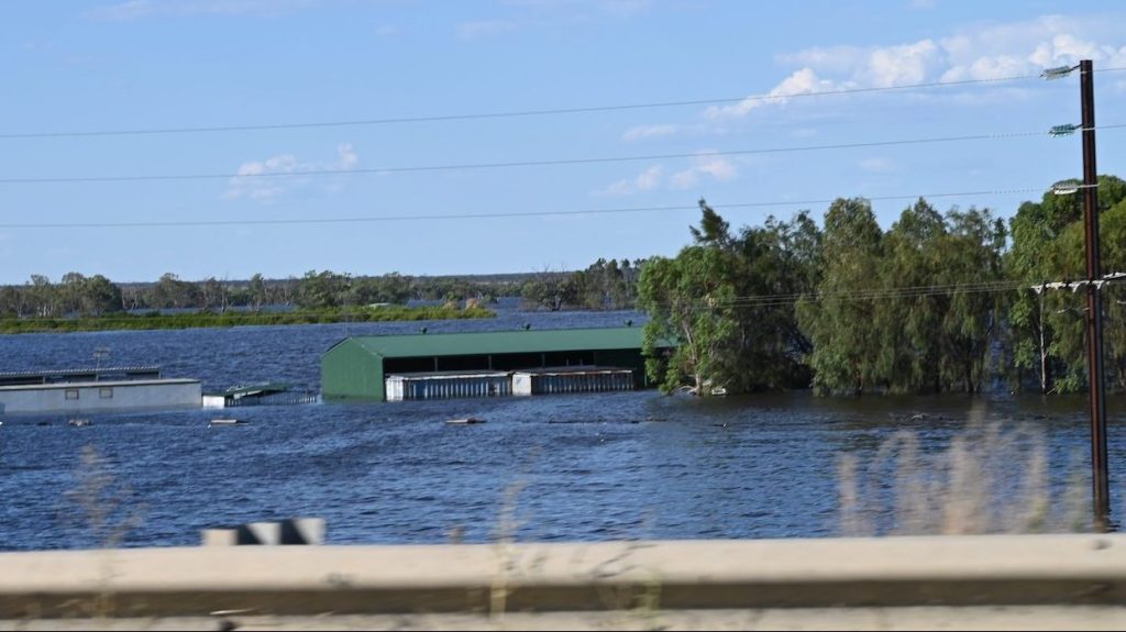 River Murray water floods homes and sheds in the Riverland near Cobdogla. Photo: Belinda Willis