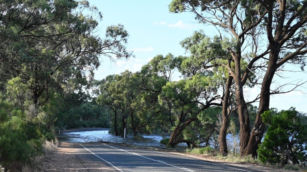 Thumbnail for Car roof rescue in Riverland flood waters