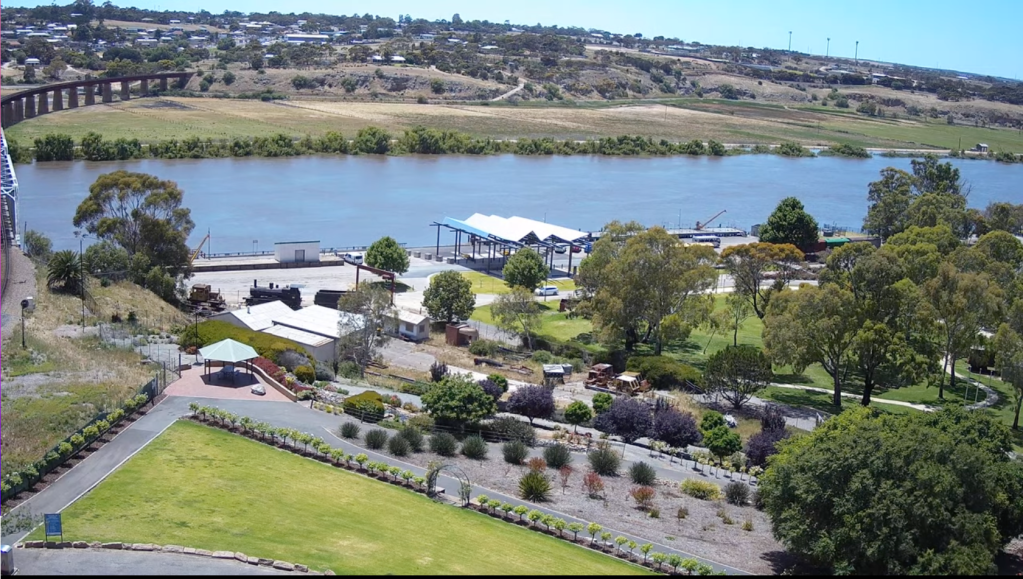 The live flow cam of Murray Bridge today. Photo: Rural City of Murray Bridge