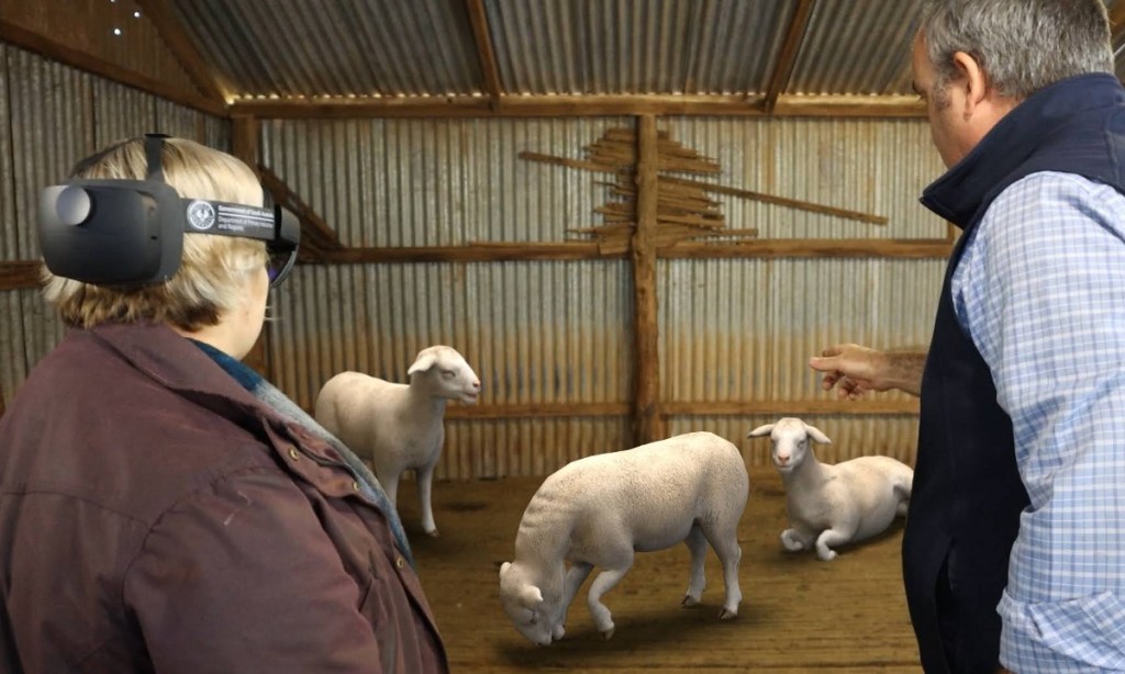 Thumbnail for Aussie farmers using AR to spot sheep diseases