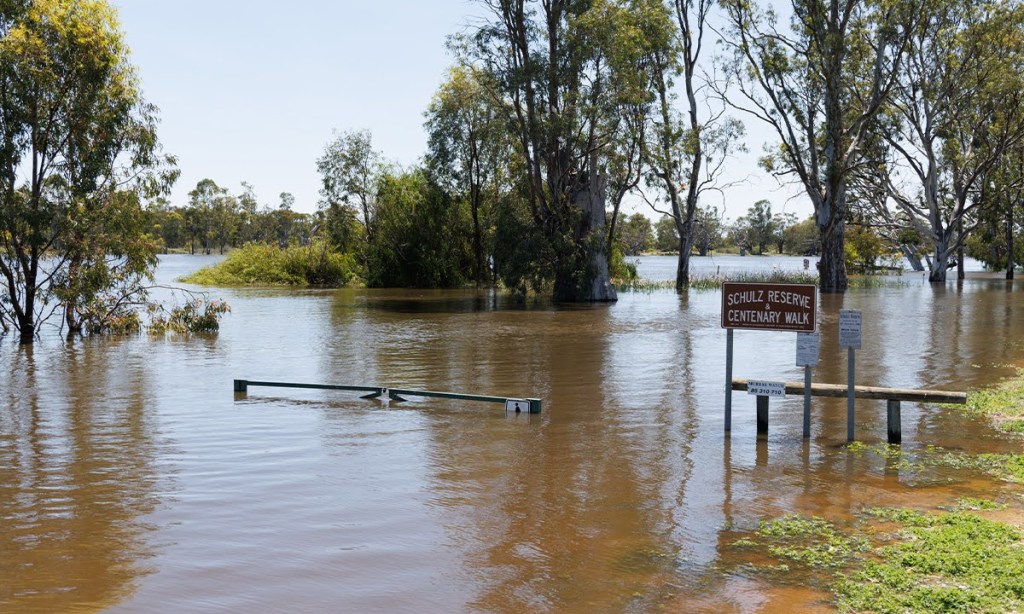 Thumbnail for River Murray flood restrictions start to ease