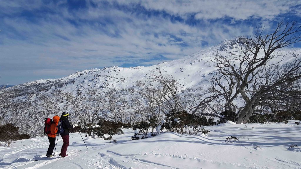 Thumbnail for Predictive tool shows where winter could ‘effectively disappear’