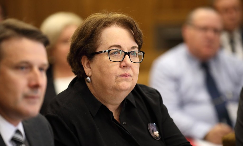 Thumbnail for SA Child Protection Department chief quits