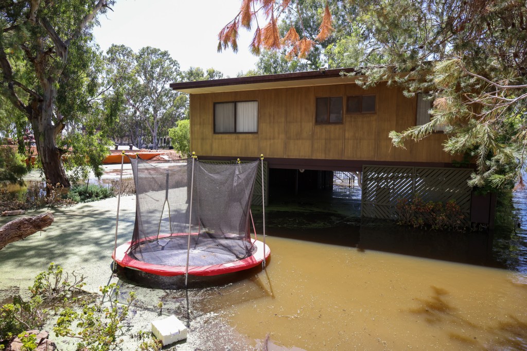 Thumbnail for River Murray accommodation issue as flood peak passes