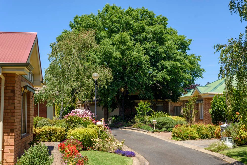 Thumbnail for Aged care home ‘rewording’ voluntary assisted dying policy