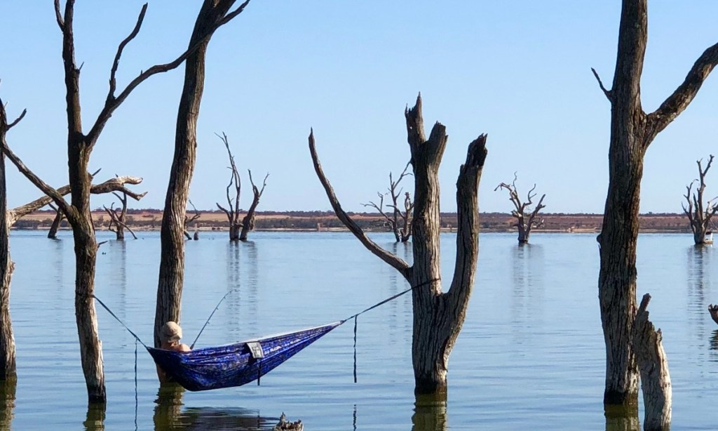 Thumbnail for Carp Frenzy to lure tourists back to Riverland
