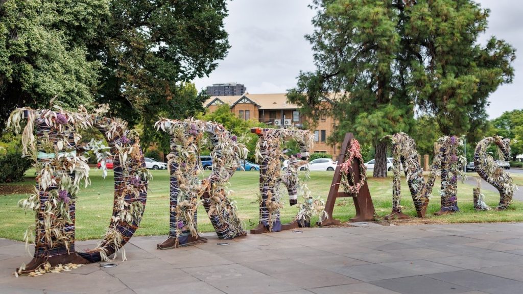 Blooms drape Anton Hart's Forest of Dreams work in Hurtle Square. Photo: Tony Lewis/InDaily
