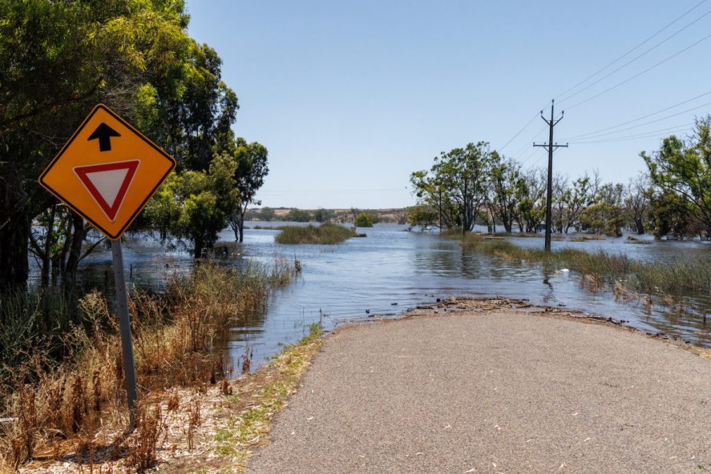 Flooding at Mypolonga. Photo: Tony Lewis/InDaily