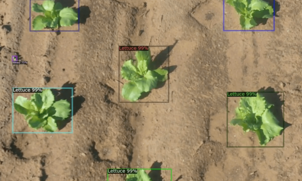 Thumbnail for Debating the future of Australian AgTech
