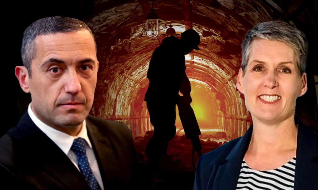 Thumbnail for Mining lobby digs in over ‘roadblock’ minister