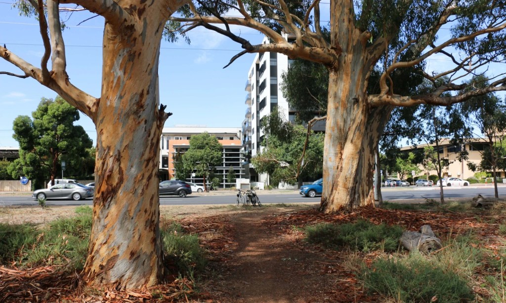 Thumbnail for Govt considering ‘all options’ to park lands police barracks site