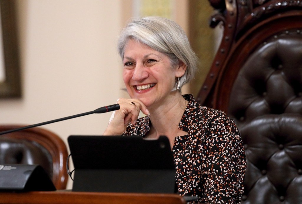 Former Lord Mayor Sandy Verschoor has been named new chair of the SA Heritage Council. Photo: Tony Lewis/InDaily