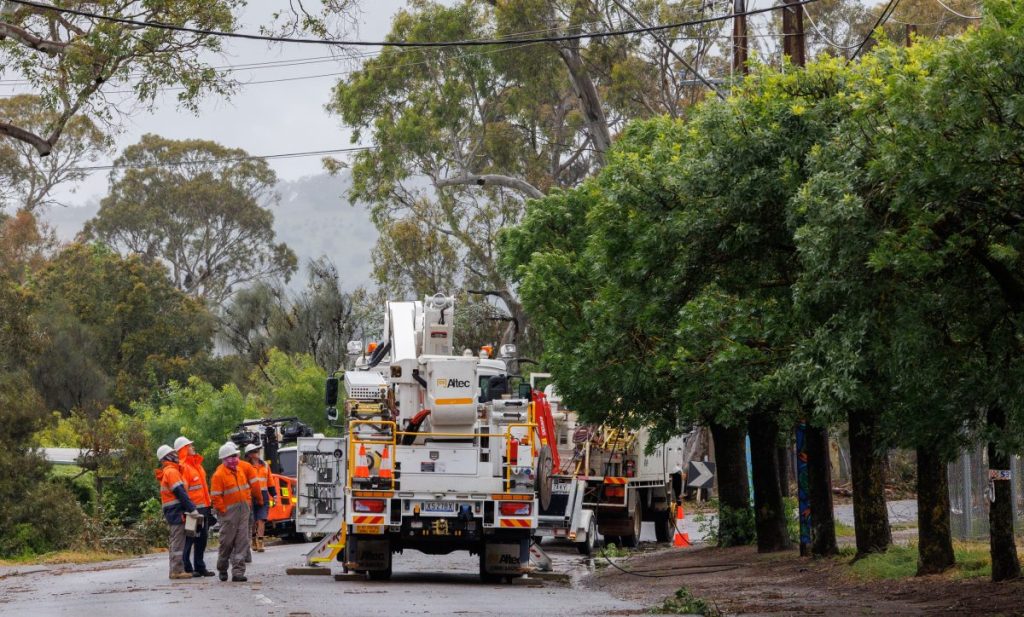 Thumbnail for Let’s not understate the cost of undergrounding powerlines