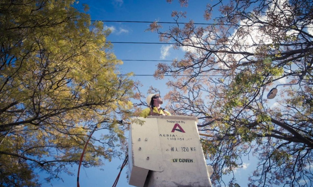 SA Power Networks says vegetation remains a "significant source of power outages" across the state, particularly in the eastern suburbs. Photo: SA Power Networks