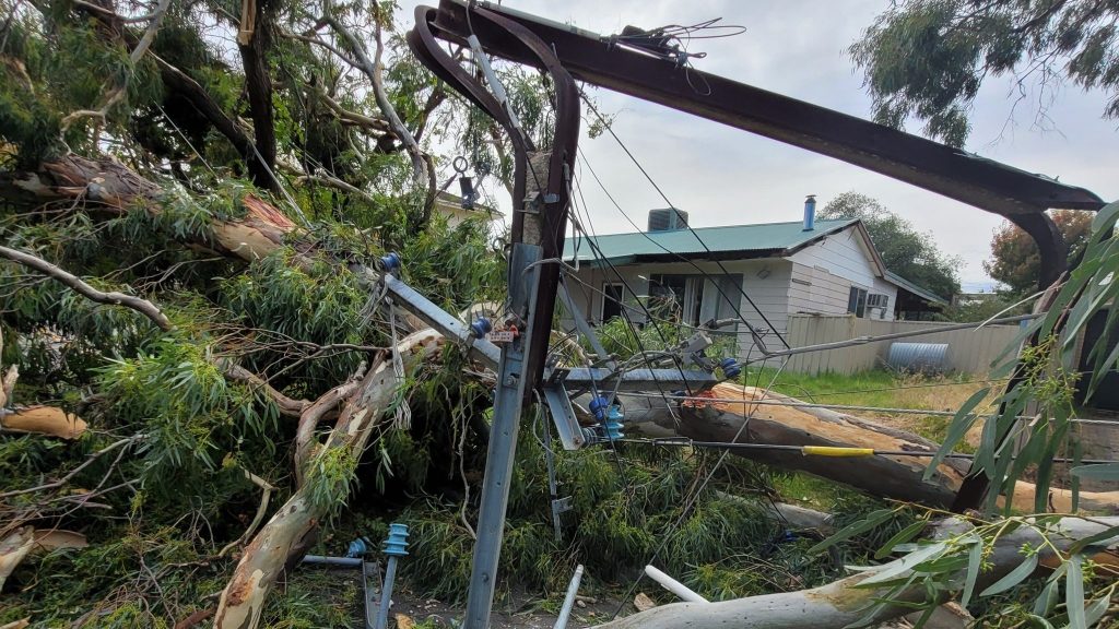 Thumbnail for Adelaide homes still blacked out after wild winds