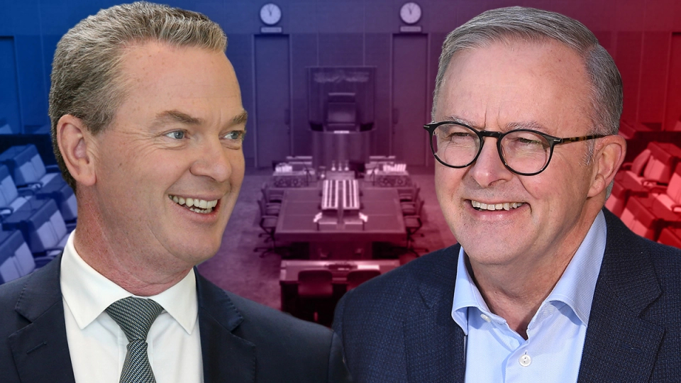 Thumbnail for Unrepentant partisan, unlikely friend: Christopher Pyne’s verdict on Albanese